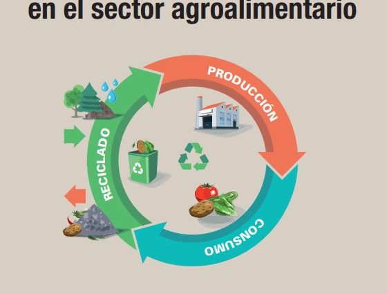 economia circular en sector agroalimentario