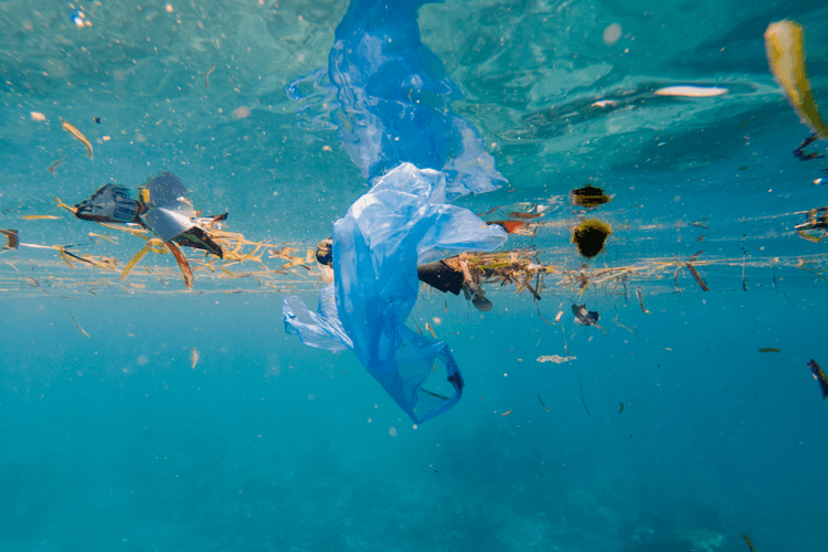 Contaminación provocada por plásticos flotando en el mar