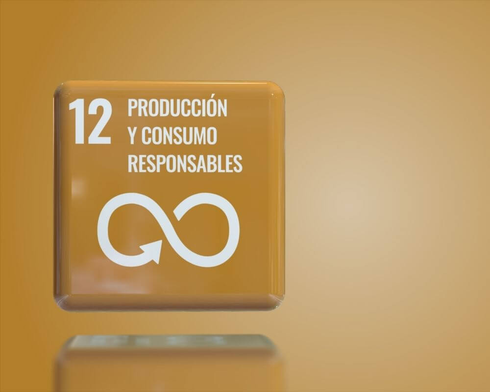 ODS 12 producción y consumo responsable